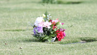 Cementerio Parque