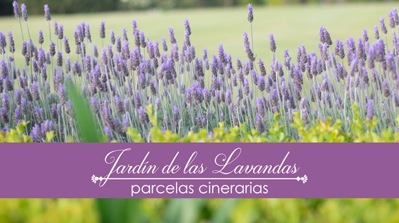Jardín de las Lavandas